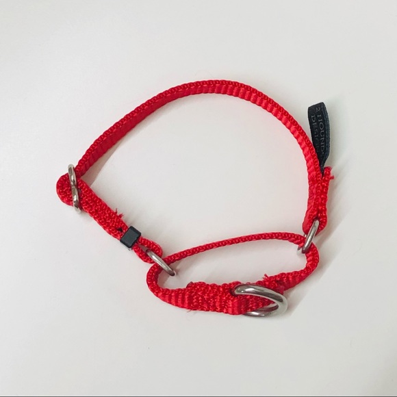 2Hounds Design Martingale Nylon Dog Collar, Red, XS - Picture 4 of 6